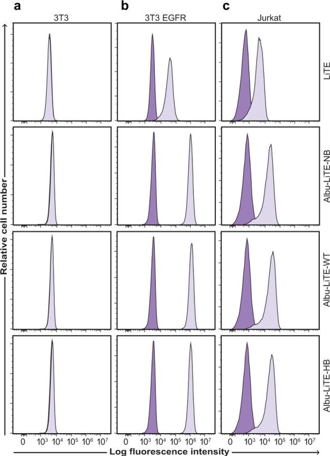 Human Serum Albumin Antibody in Flow Cytometry (Flow)