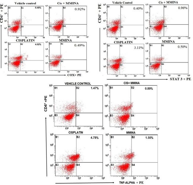 COX2 Antibody in Flow Cytometry (Flow)