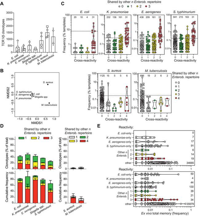 CD4 Antibody in Flow Cytometry (Flow)