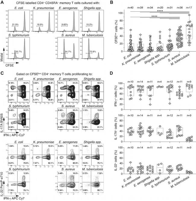 CD4 Antibody in Flow Cytometry (Flow)