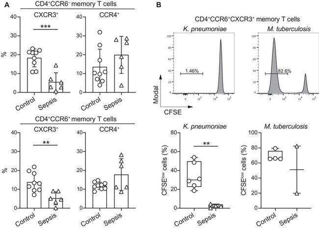 CD4 Antibody in Flow Cytometry (Flow)