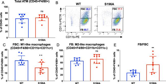 CD11c Antibody in Flow Cytometry (Flow)