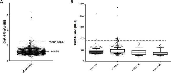 GnRHR Antibody in Immunoprecipitation (IP)