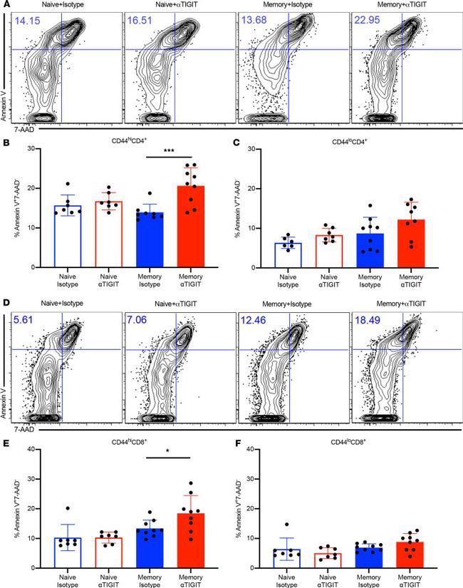 CD8 alpha Antibody in Flow Cytometry (Flow)