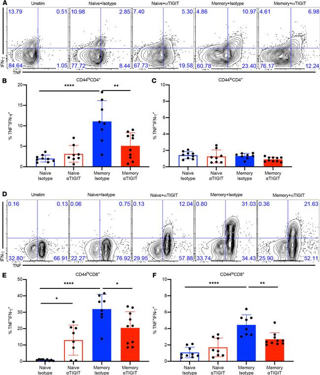 CD8 alpha Antibody in Flow Cytometry (Flow)