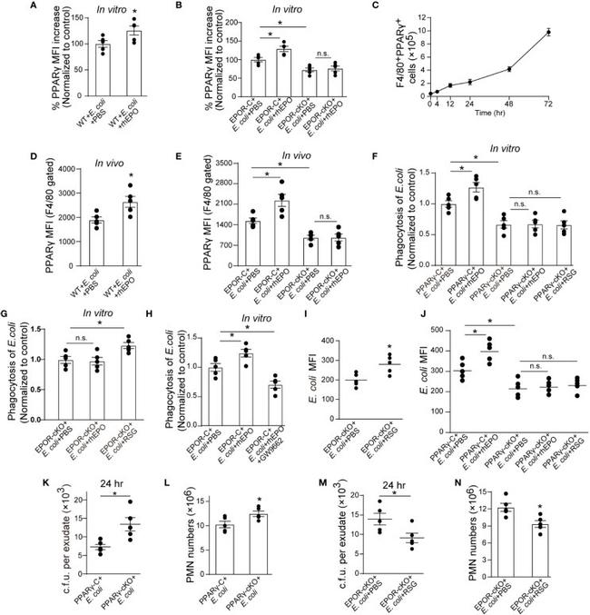 PPAR gamma Antibody in Flow Cytometry (Flow)