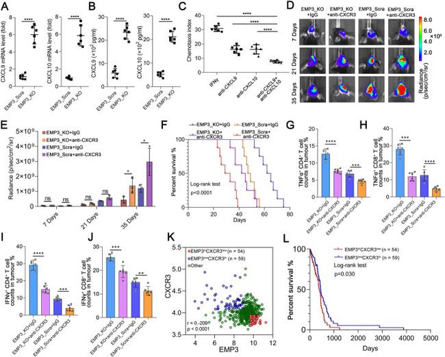 CD4 Antibody in Flow Cytometry (Flow)