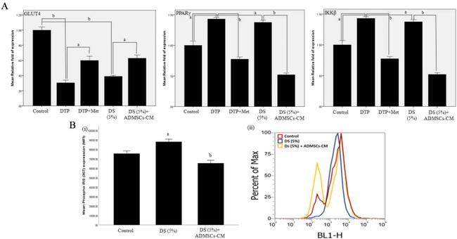 Phospho-IRS1 (Ser307) Antibody in Flow Cytometry (Flow)