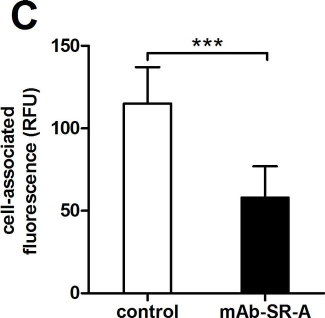 Rat IgG2b kappa Isotype Control in Inhibition Assays (IA)