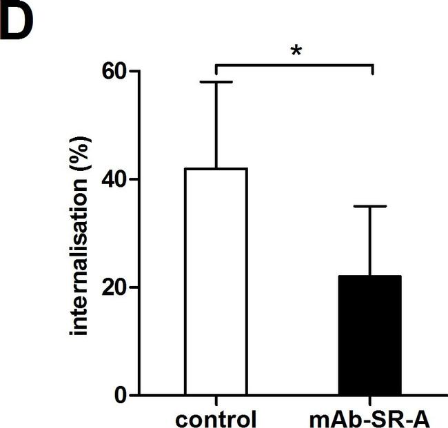 Rat IgG2b kappa Isotype Control in Inhibition Assays (IA)