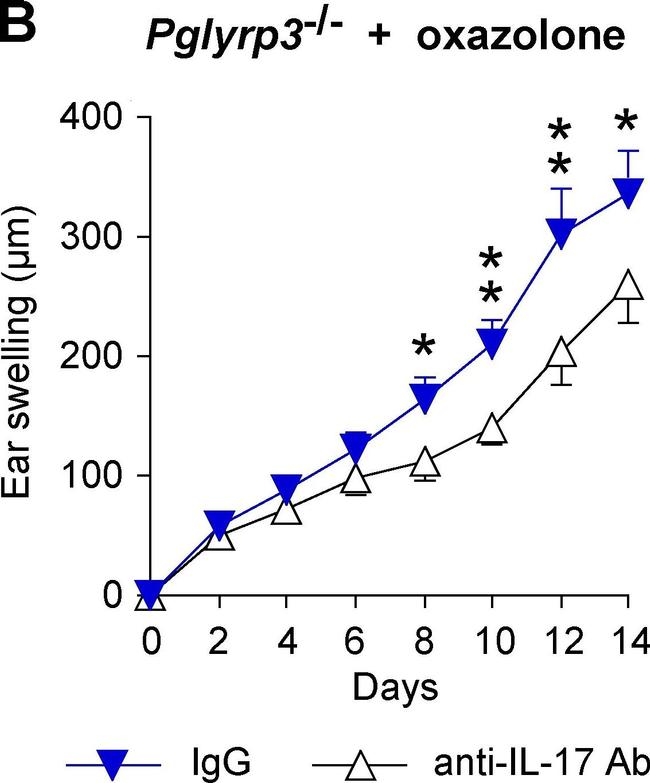 Rat IgG2a kappa Isotype Control in Neutralization (Neu)