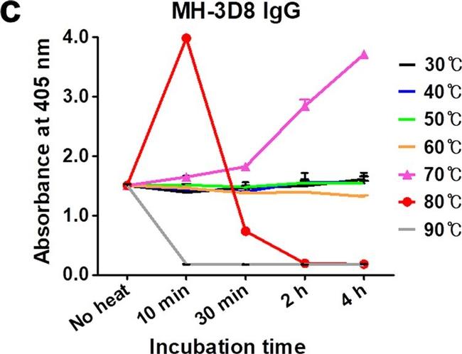 Rabbit IgG Fc Secondary Antibody in ELISA (ELISA)