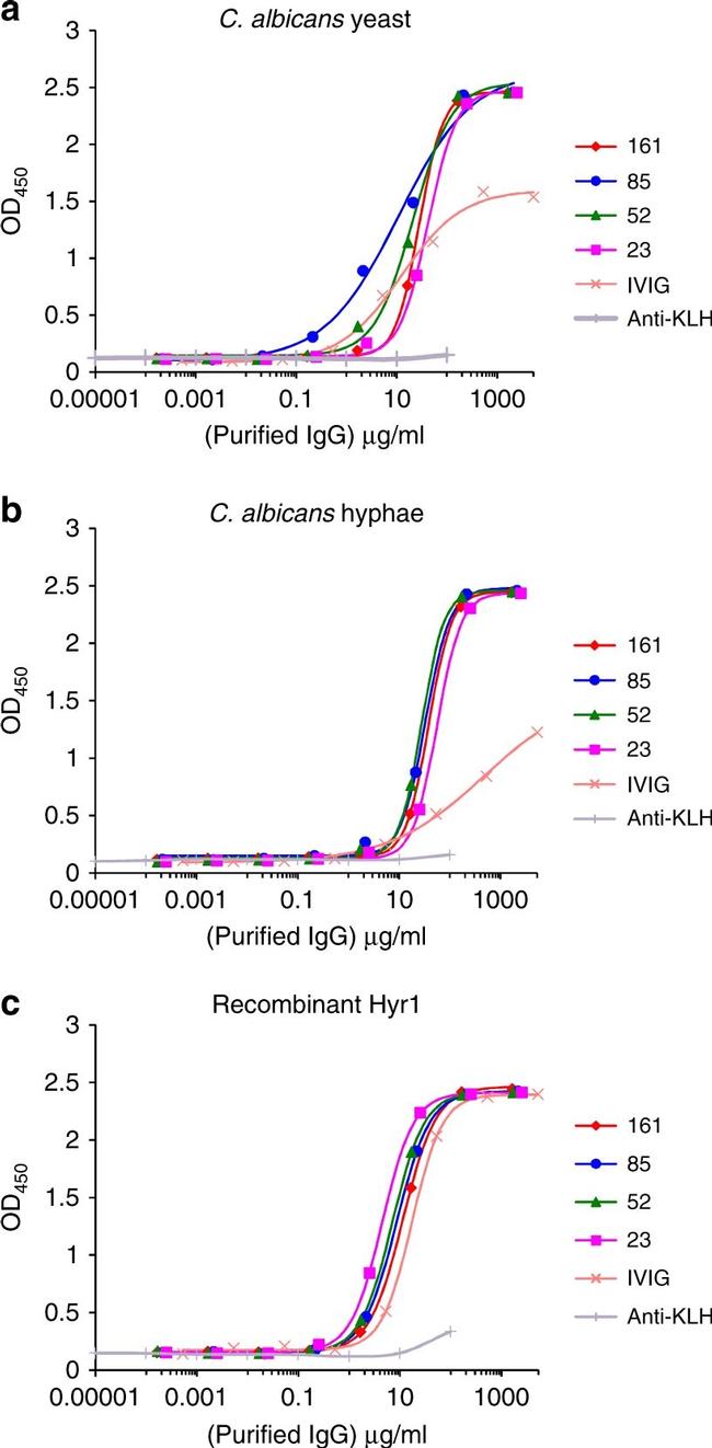 Human IgG Fc Cross-Adsorbed Secondary Antibody in ELISA (ELISA)