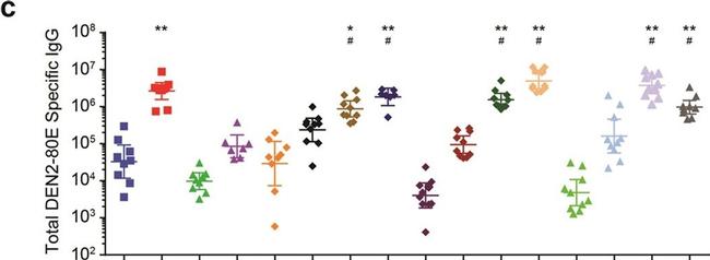 Mouse IgG (H+L) Secondary Antibody in ELISA (ELISA)