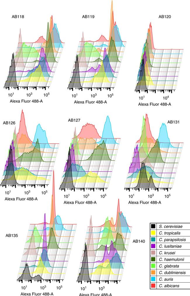 Human IgG (H+L) Cross-Adsorbed Secondary Antibody in Flow Cytometry (Flow)