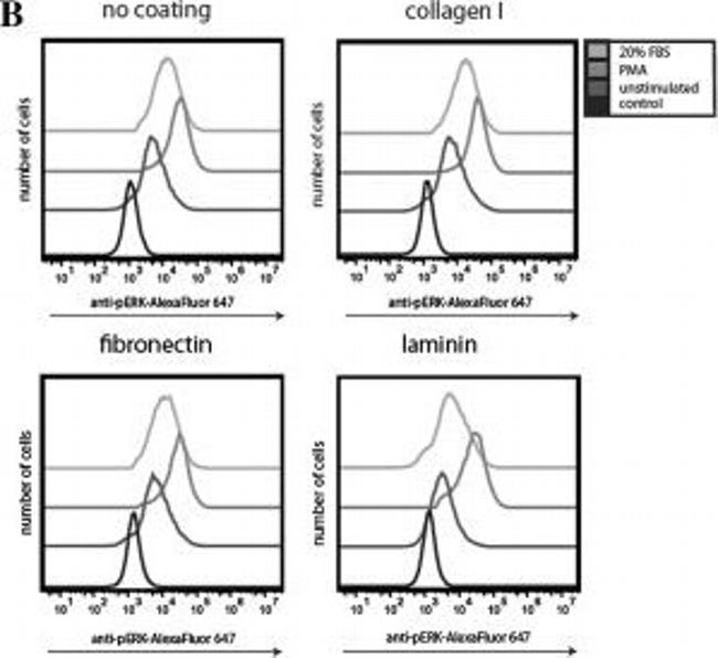 Rabbit IgG (H+L) Cross-Adsorbed Secondary Antibody in Flow Cytometry (Flow)