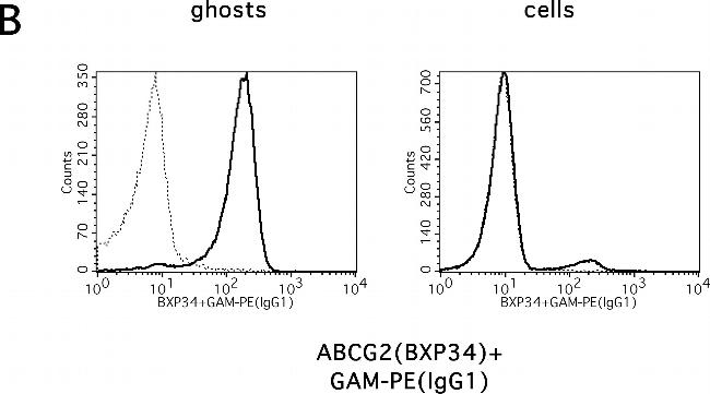 Mouse IgG1 Cross-Adsorbed Secondary Antibody in Flow Cytometry (Flow)