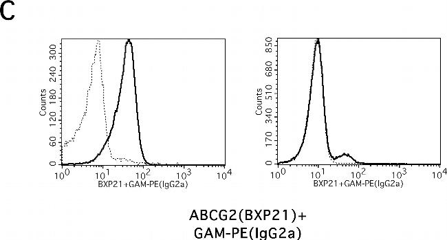 Mouse IgG2a Cross-Adsorbed Secondary Antibody in Flow Cytometry (Flow)