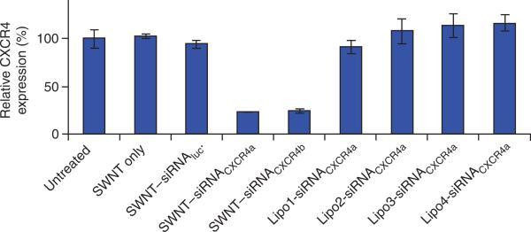 CXCR4 Antibody