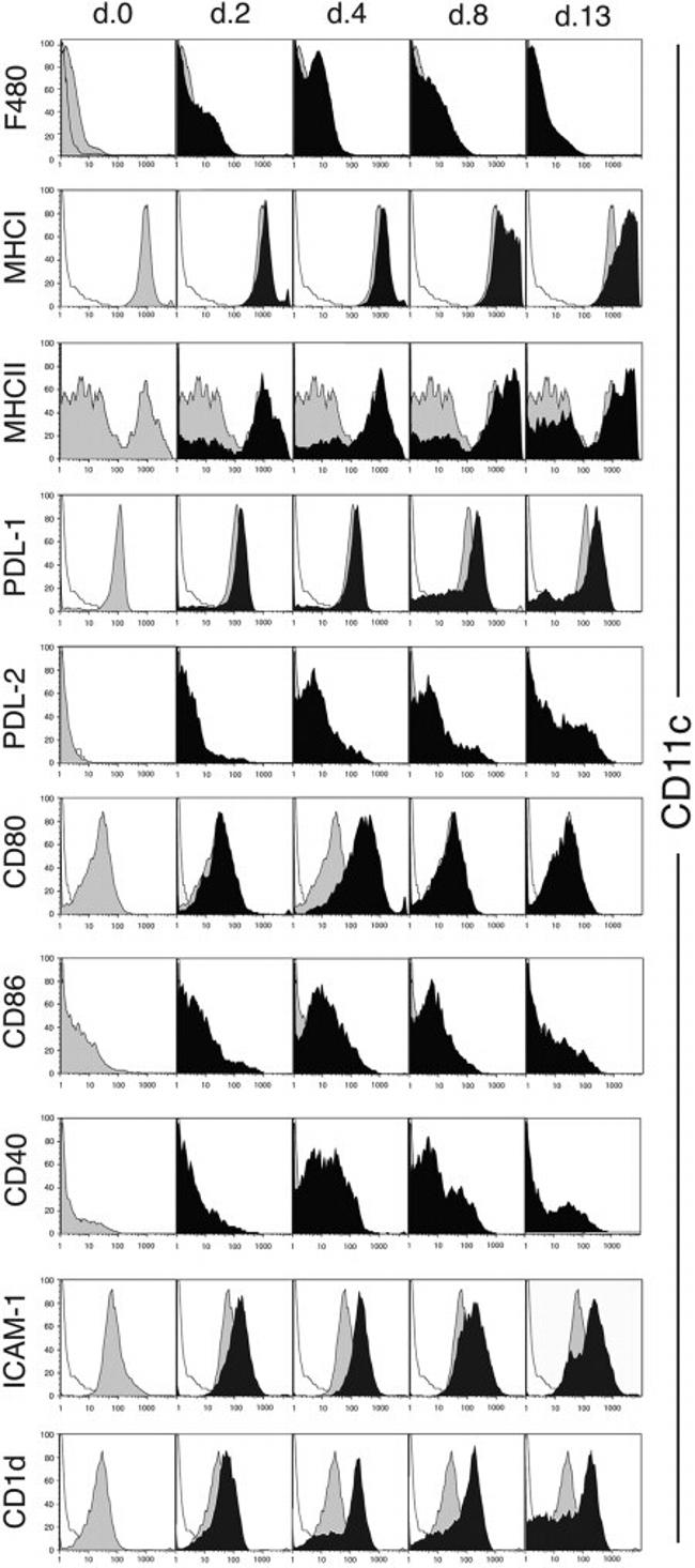 MHC Class I (H-2Kd/H-2Dd) Antibody in Flow Cytometry (Flow)