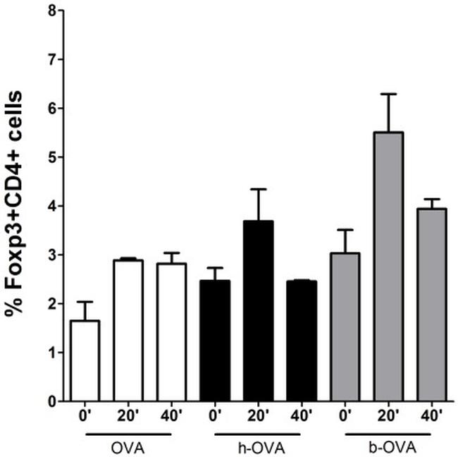 CD4 Antibody