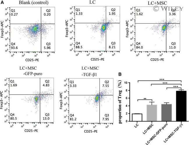 FOXP3 Antibody in Flow Cytometry (Flow)