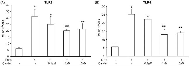 CD284 (TLR4) Antibody in Flow Cytometry (Flow)