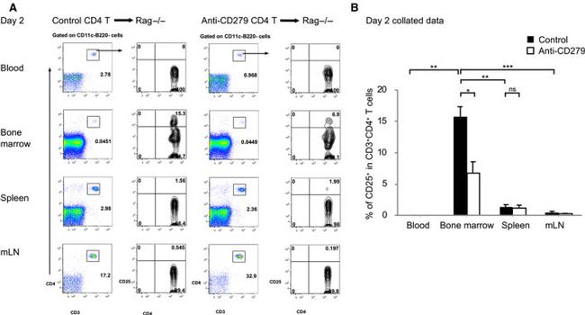 CD45R (B220) Antibody in Flow Cytometry (Flow)