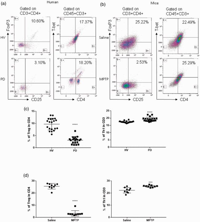 CD25 Antibody in Flow Cytometry (Flow)