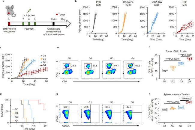 CD3e Antibody in Flow Cytometry (Flow)