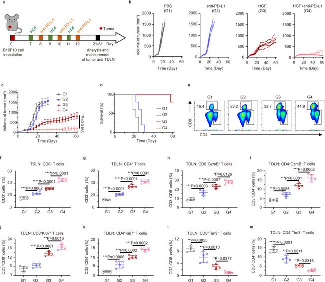 CD3e Antibody in Flow Cytometry (Flow)