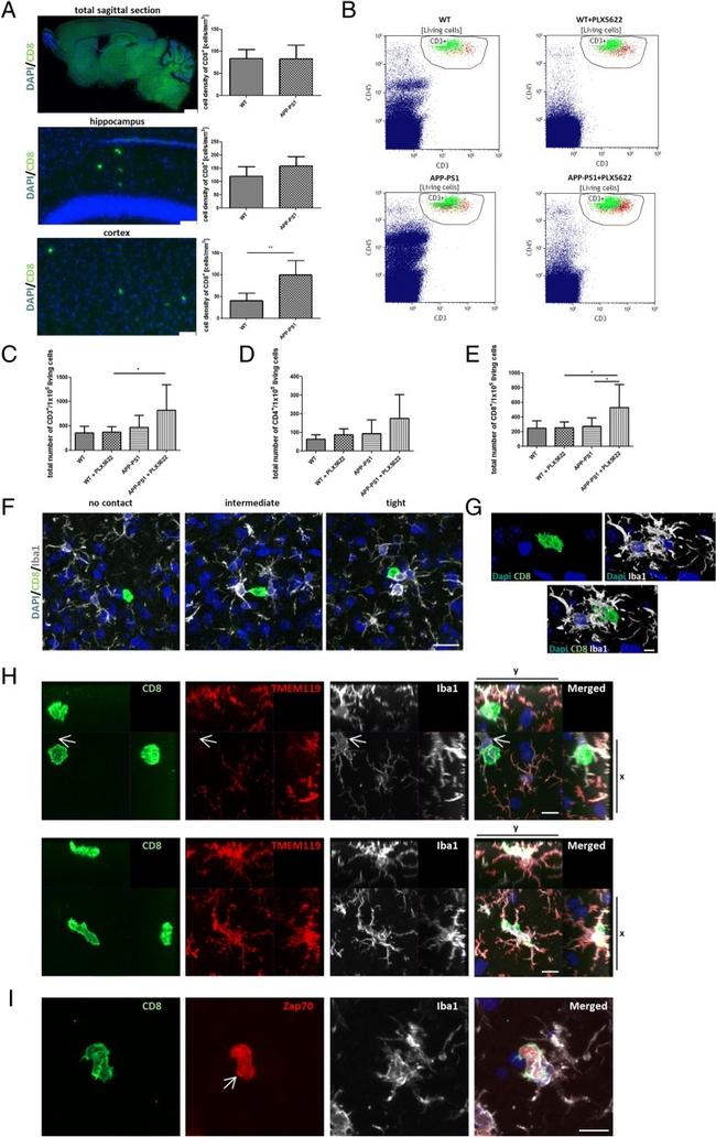 CD4 Antibody in Flow Cytometry (Flow)