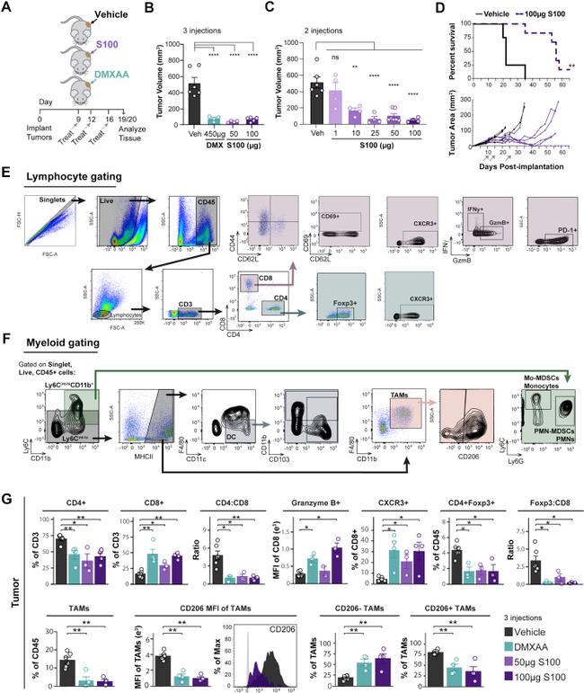 CD11c Antibody in Flow Cytometry (Flow)