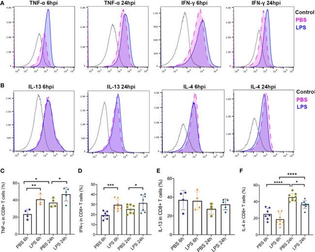 IFN gamma Antibody in Flow Cytometry (Flow)