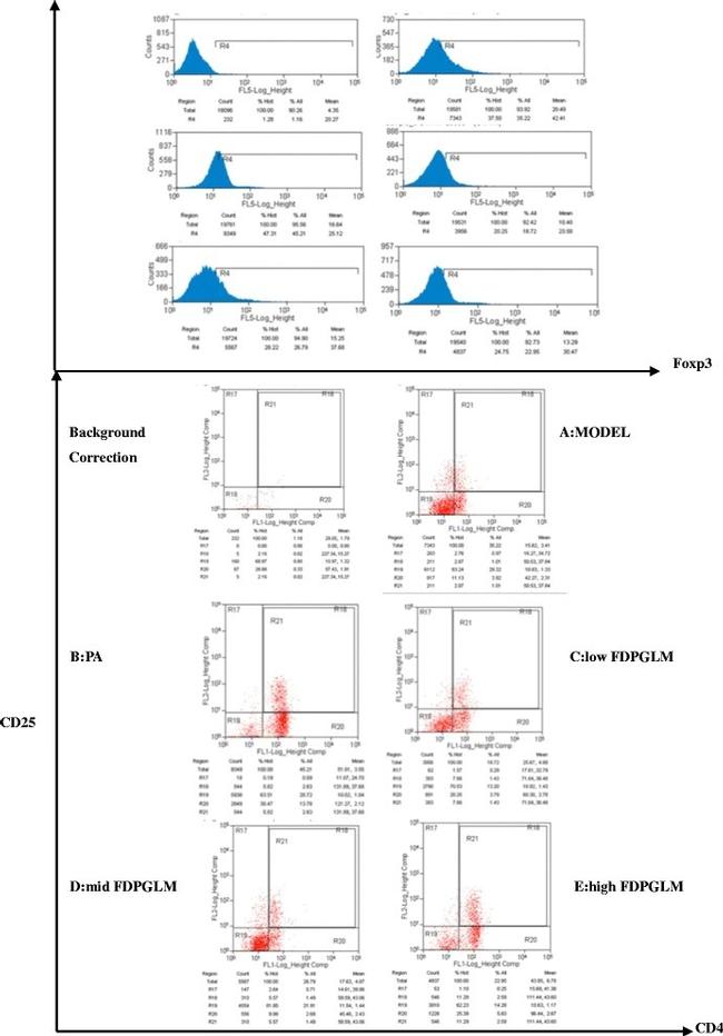 FOXP3 Antibody in Flow Cytometry (Flow)