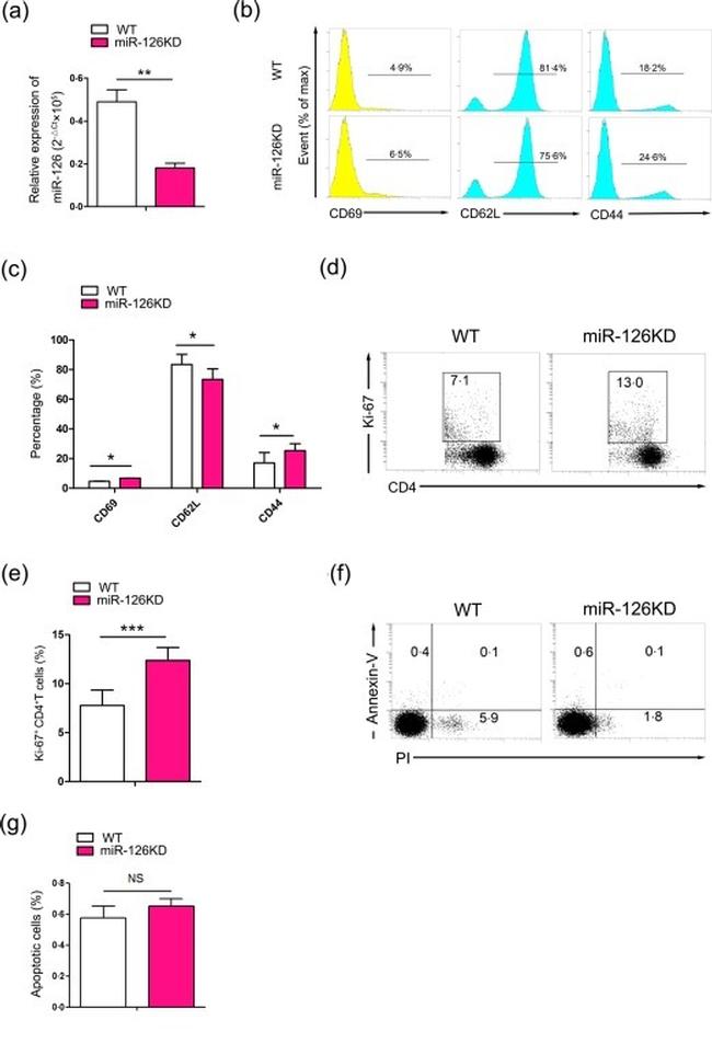 CD4 Antibody in Flow Cytometry (Flow)