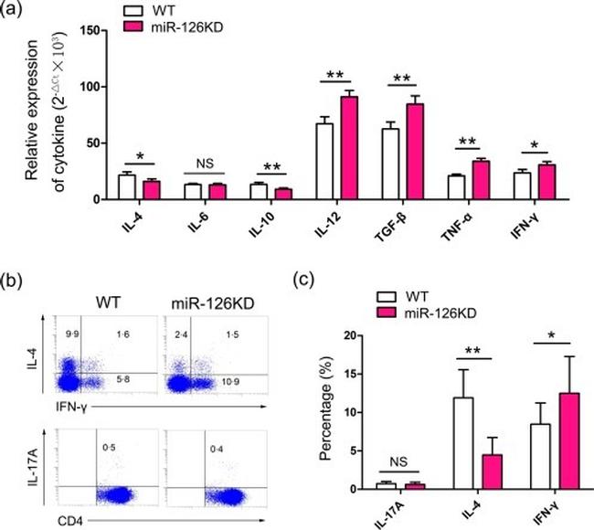 CD4 Antibody in Flow Cytometry (Flow)