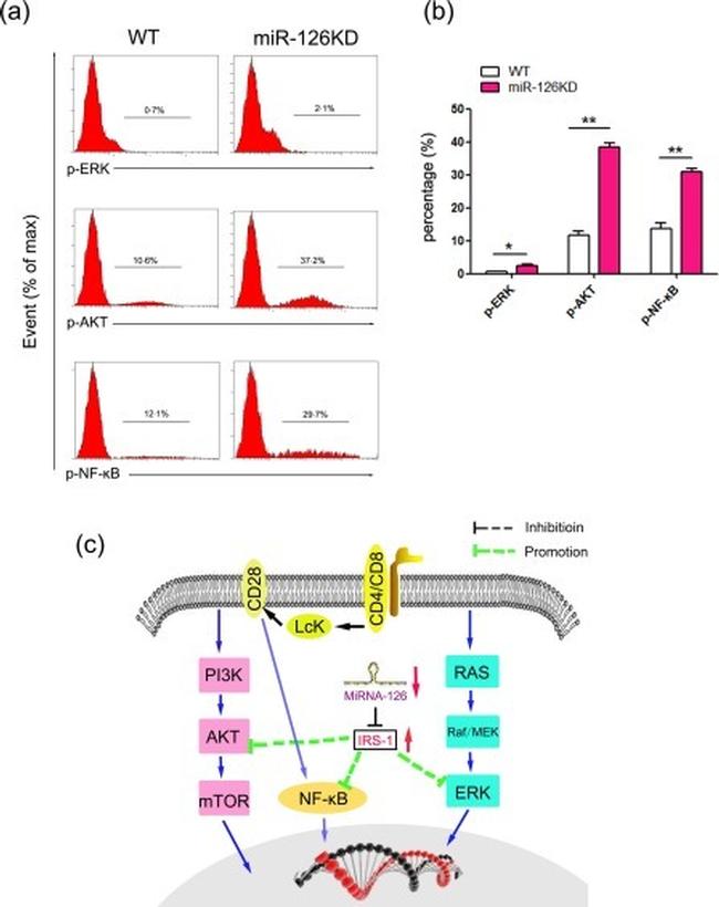 Phospho-AKT1 (Ser473) Antibody in Flow Cytometry (Flow)