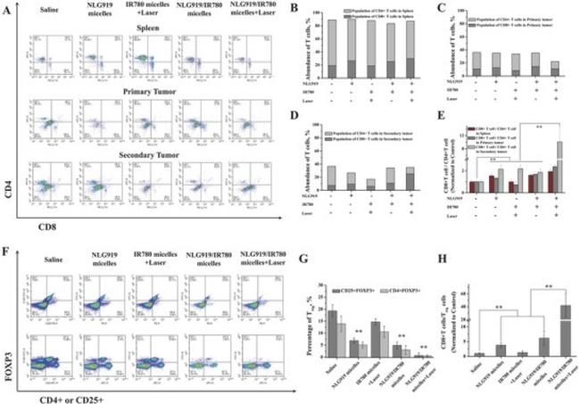 CD4 Antibody in Flow Cytometry (Flow)