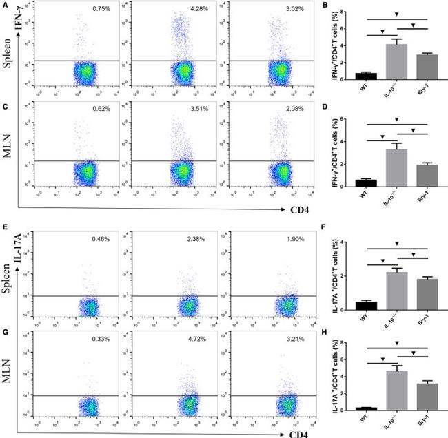 IL-17AF Antibody in Flow Cytometry (Flow)