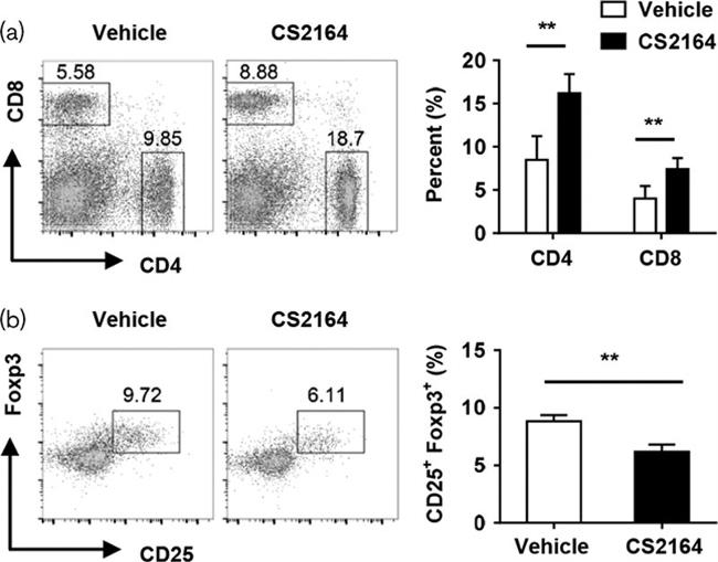 CD25 Antibody in Flow Cytometry (Flow)