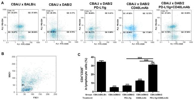 CD4 Antibody in Flow Cytometry (Flow)