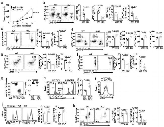 CD279 (PD-1) Antibody in Flow Cytometry (Flow)