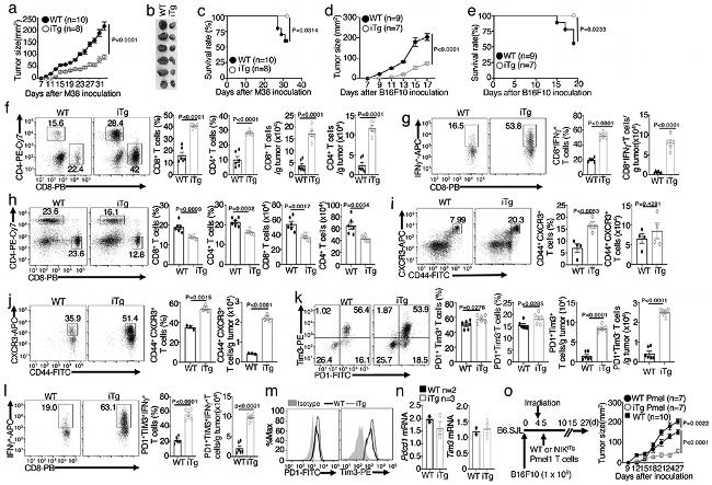 CD279 (PD-1) Antibody in Flow Cytometry (Flow)