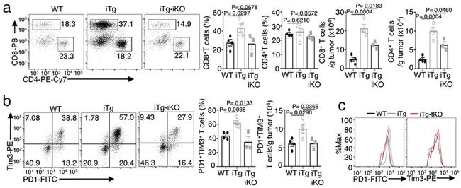 CD279 (PD-1) Antibody in Flow Cytometry (Flow)