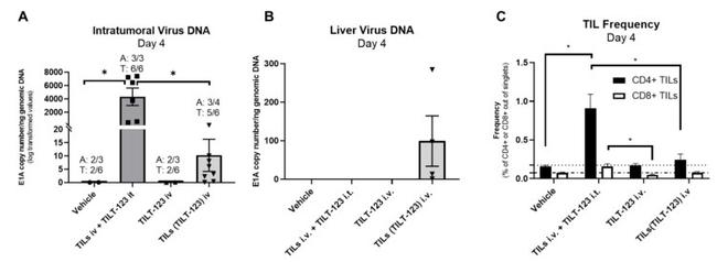 CD4 Antibody in Flow Cytometry (Flow)