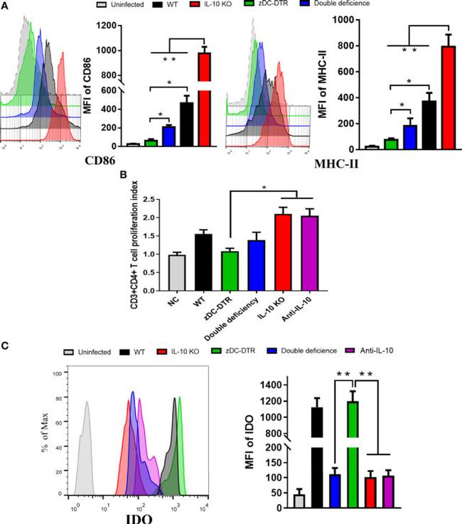 CD86 (B7-2) Antibody in Flow Cytometry (Flow)