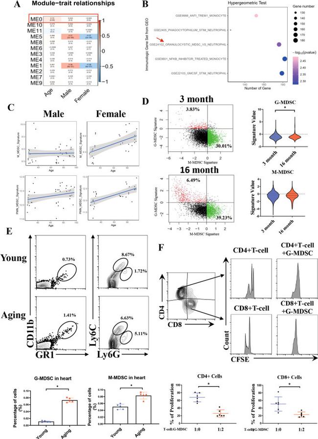 CD11b Antibody in Flow Cytometry (Flow)