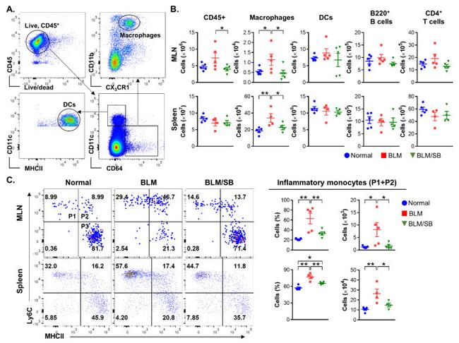 CD4 Antibody in Flow Cytometry (Flow)