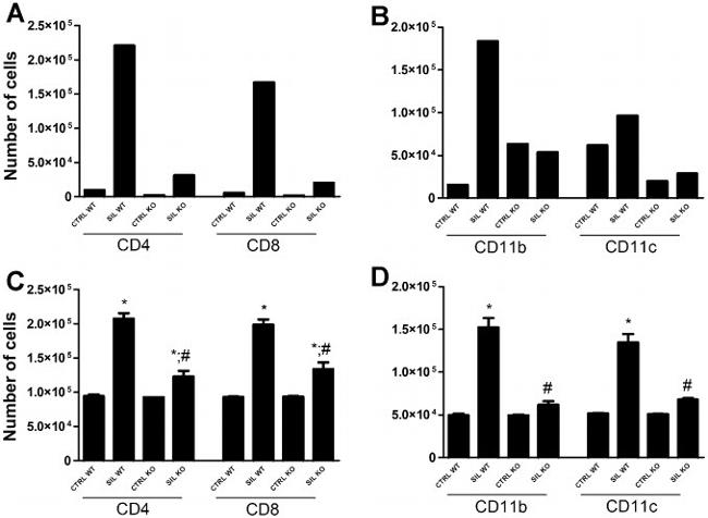 CD11c Antibody in Flow Cytometry (Flow)